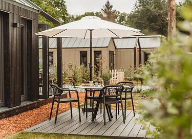 Tiny House in Veluwe (Dog allowed) - 9