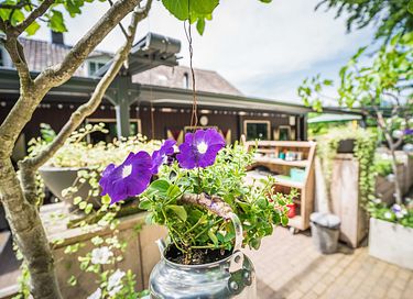 Lovely outdoor room close to the forest - 16