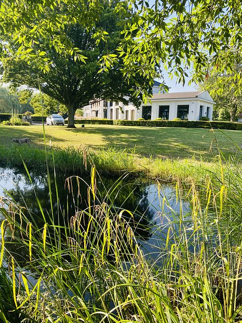 Luxury B&B in Zeeland - 5
