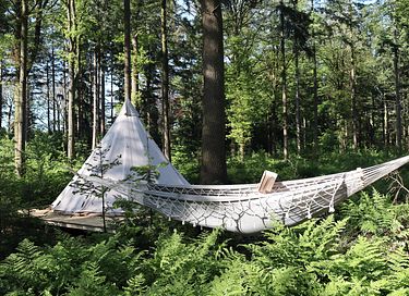 Meditatie en Yoga glamping in het bos - 8