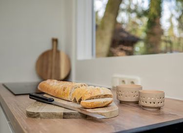 Natuurhuis met sauna en tuin  - 33