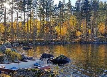 Tente glamping unique en pleine forêt - 25
