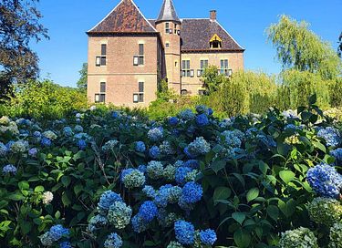 Vakantiewoning met luxe wellnesservaring - 55