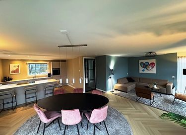 Wellness house with private beach on large lake - 6