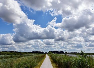 Haus mit Anlegestelle an einem friesischen See - 41