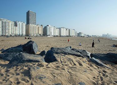 Charmant gîte pour 4 personnes dans les dunes - 13