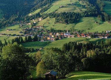 Bosrijk chalet in Oostenrijk (6p) - 15