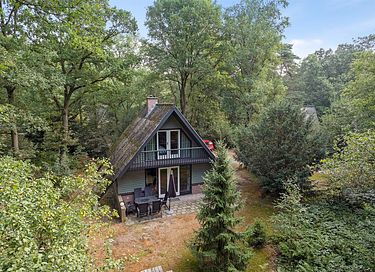Vakantiehuis (6p) tussen de bomen