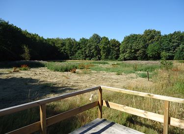 Boslodge met vrij uitzicht op de natuur - 3
