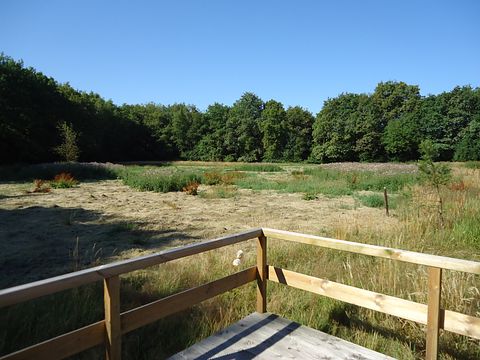 Boslodge met vrij uitzicht op de natuur - 3