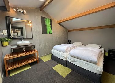 Vakantiewoning met sauna en jacuzzi - 13