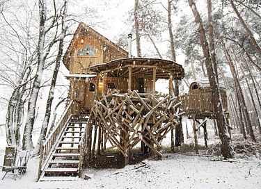 Prachtige boomhut in de Belgische natuur - 11