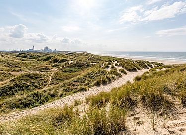 Knus zomerhuisje op 5 min. van het strand - 2