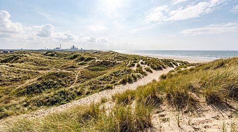 Knus zomerhuisje op 5 min. van het strand - 2