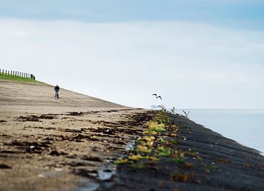 6-persoons vakantiehuis aan het Lauwersmeer - 31