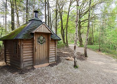 Cabin in het bos met saunahuisje - 5