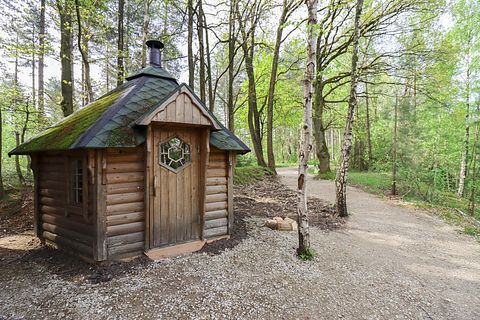 Cabin in het bos met saunahuisje - 5
