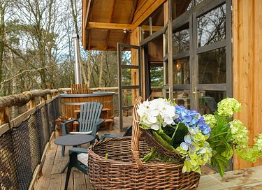 Unieke boomhut in Drenthe voor 6 personen - 4