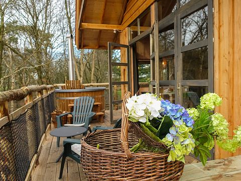 Unieke boomhut in Drenthe voor 6 personen - 4