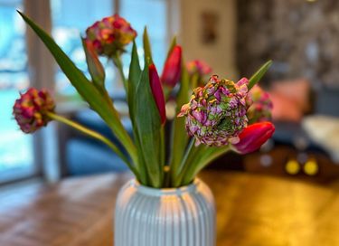 Kind- en diervriendelijk vakantiehuis - 6