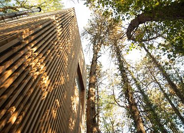 Unieke slaaptoren (8 meter) in het bos