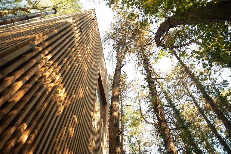 Tour de couchage unique (8 mètres) dans la forêt - 1