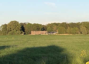Luxe vakantiehuis tussen de IJslandse paarden - 24