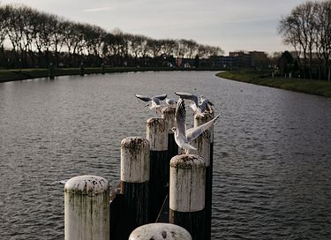 Uniek vakantiehuisje onder de molen - 31