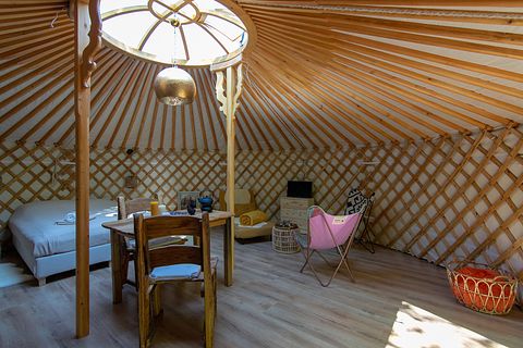 Knusse yurt vlakbij Drents natuurgebied - 4