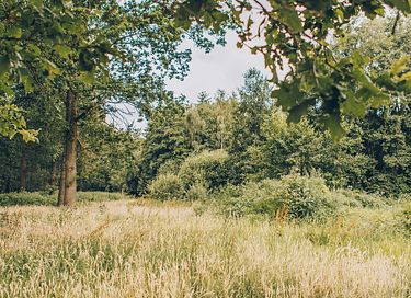 Logement de vacances à l'orée de la forêt avec espace bien-être - 66