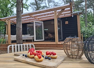 Une tiny house attrayante dans la campagne de Drenthe - 23
