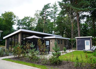 Logement de vacances design dans le Veluwe - 4