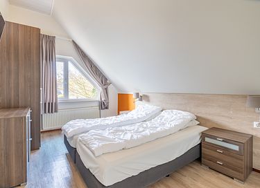 Hundevenligt feriehus med have (Texel) - 12