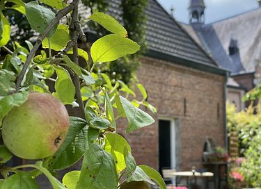 Boutique-Hotel im alten Pfarrhaus - 7