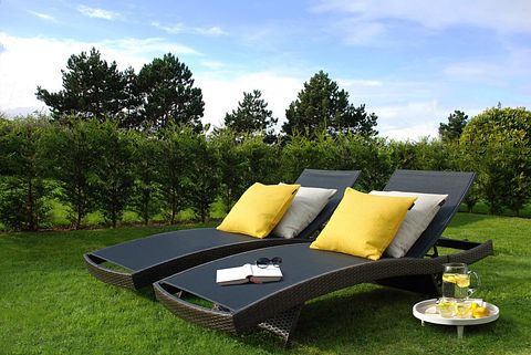 Ferienhaus mit Blick auf die Polder - 5