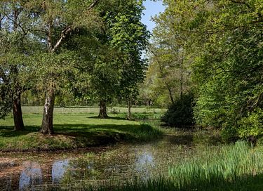 Overnachten (2p) op een bijzonder landgoed  - 41