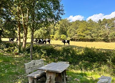 Une tiny house attrayante dans la campagne de Drenthe - 46