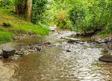 Lodge spacieux avec bain à remous dans un cadre magnifique - 25
