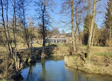 Group house with swimming pool and sauna - Ardennes - 37