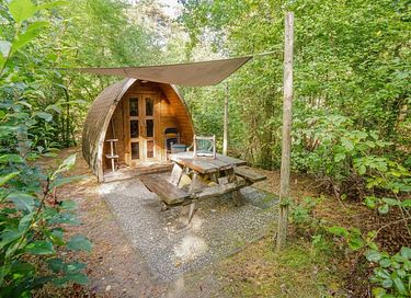 Cozy pod in the forests of Drenthe
