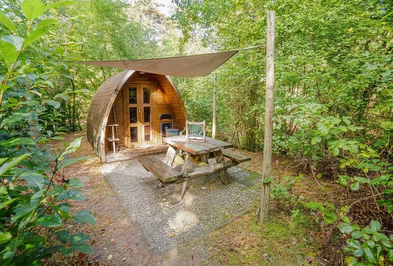 Cozy pod in the forests of Drenthe - 1