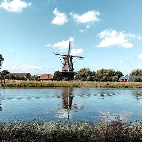 Uniek vakantiehuisje onder de molen - 4