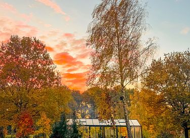 Nature cottage in Westerwolde (2p) - 25