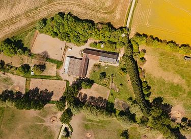 Tiny house bij een boerderij met paarden - 15