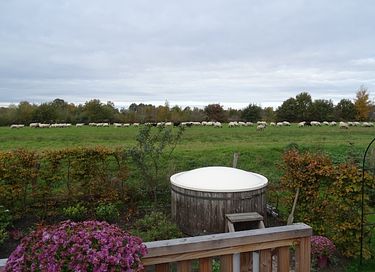 Zirkuswagen mit Hottub & Moorblick - 15