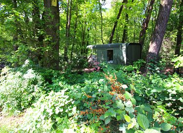 Roulotte tzigane dans les bois avec cheminée - 19