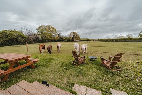 Tiny House zwischen Pferden und Ponys - 2