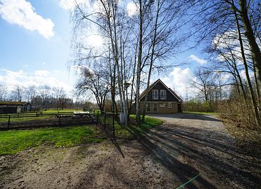 Villa indépendante pour 16 personnes dans le Limbourg - 13