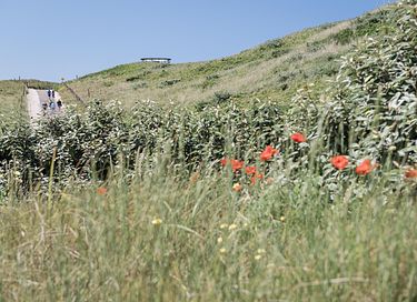 Suite pour 2 personnes avec vue sur les dunes - 16