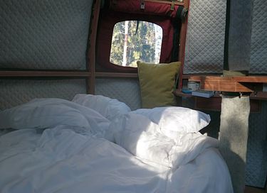 Tente glamping unique en pleine forêt - 11